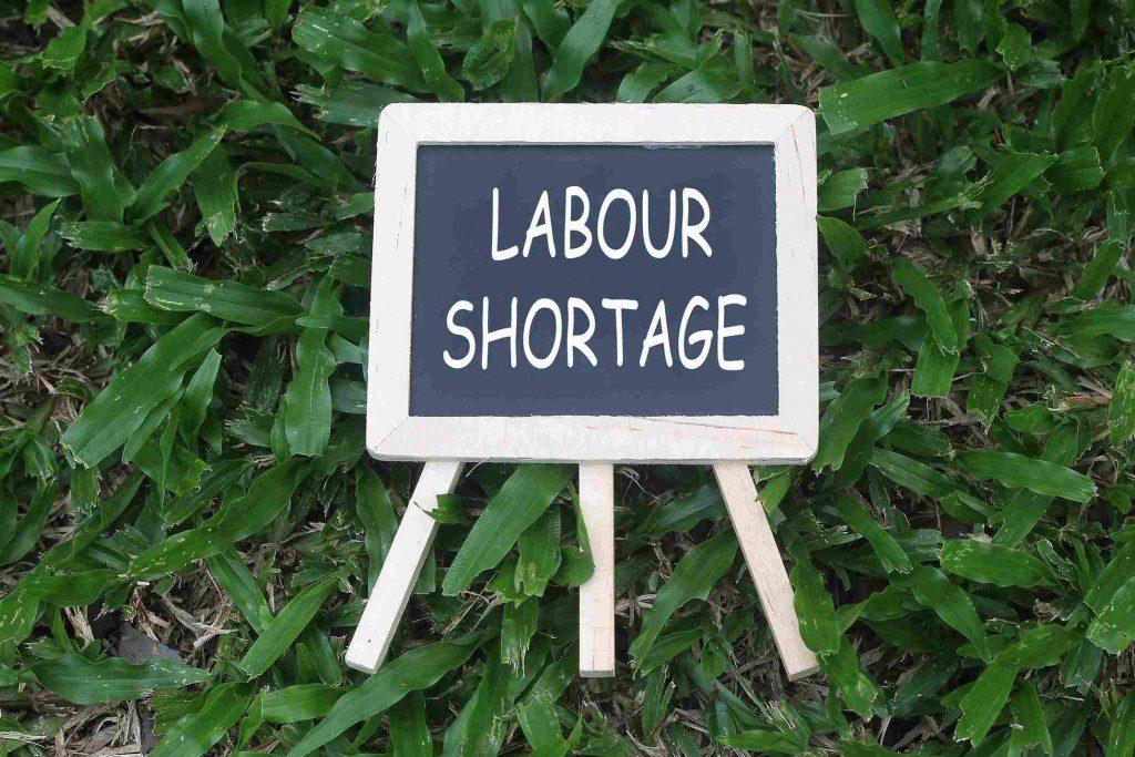 labour-shortage-for-home-healthcare-in-rural-areas